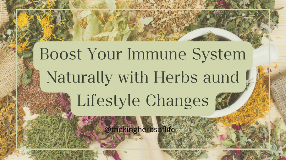 Boost Your Immune System Naturally with Herbs and Lifestyle Changes