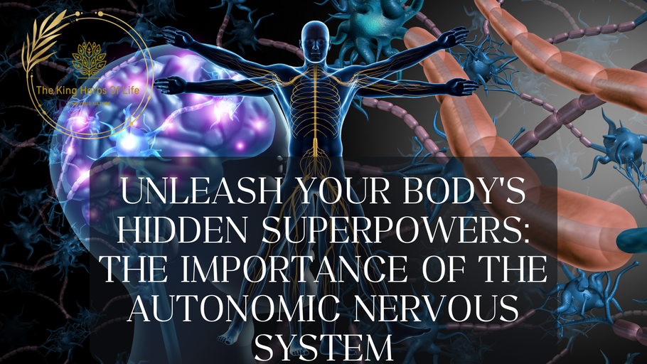 Unleash Your Body's Hidden Superpowers: The importance of the Autonomic Nervous System