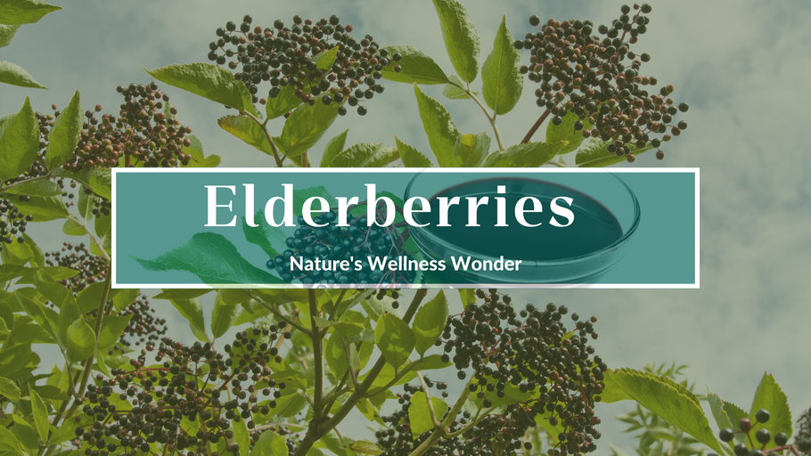 Elderberries: Nature's Wellness Wonder