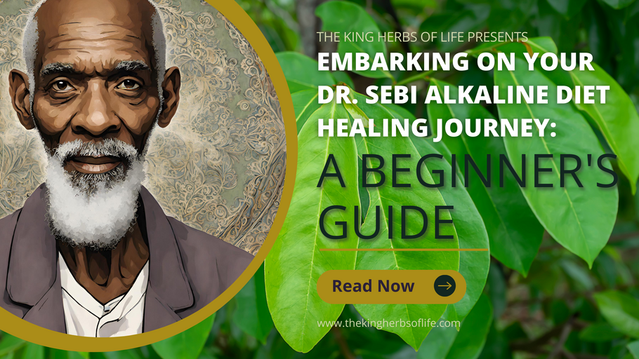 Embarking on Your Dr. Sebi Alkaline Diet Healing Journey: A Beginner's Guide