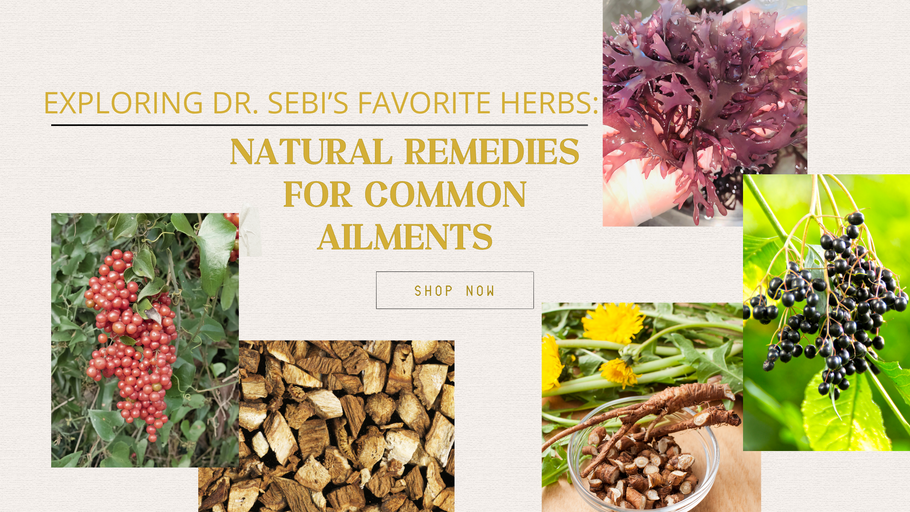 Exploring Dr. Sebi’s Favorite Herbs: Natural Remedies for Common Ailments