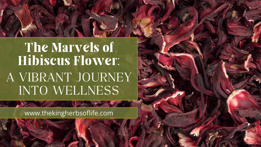 The Marvels of Hibiscus Flower: A Vibrant Journey into Wellness Introduction
