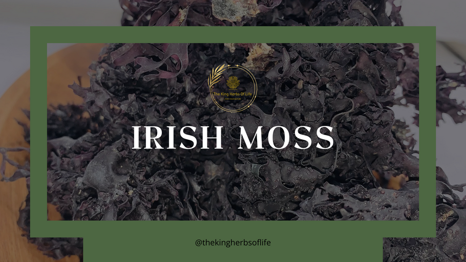 Harnessing Nature's Balance: Why Irish Moss Is Your Health Ally