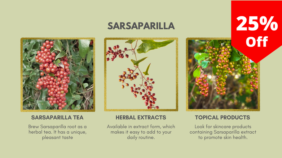 The Amazing World of Sarsaparilla: Uncover Its Health Benefits