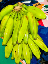 Load image into Gallery viewer, Burro Banana - Orinoco blogo banana
