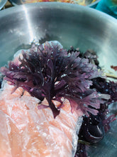 Load image into Gallery viewer, Full Spectrum Honduras Sea Moss + Purple Chondrus Crispis Sea Moss + Sea Moss Capsules Bromide Plus
