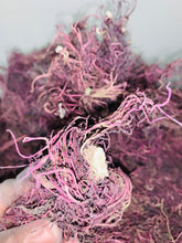 Load image into Gallery viewer, Wholesale Bulk Wildcrafted  honduran Full Spectrum Sea Moss Gracilaria Directly Imported from Honduras
