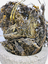 Load image into Gallery viewer, Wildcrafted whole leaf Bladderwrack (fucus vesiculosus) wildcrafted &amp; harvested from the Atlantic ocean
