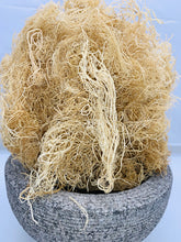 Load image into Gallery viewer, 100% Wildcrafted Sun Dried Gold gracilaria sea moss approved golden sea moss)
